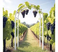 Arco da Giardino per Rose Piante Rampicanti, Supporto in Ferro Graticcio, 140 200 230 240cm Garden Pergola Traliccio Metallo per Decorazioni Nozze Esterni E Interni, Orto, Prato(White,W2.0 x H2.30m)