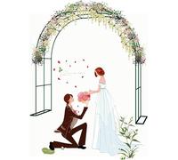 Arco da giardino per rose rampicanti in metallo resistente agli Unmotes Garden Archway allodola 80/120/140/180/16/240/280/300/350cm (colore: nero, dimensioni: 240x250cm/7.9x8.2FT)