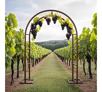 Arco da giardino per rose rampicanti, supporto traliccio in metallo, 140240 cm, pergola per esterni, decorazioni per matrimoni, uso interno ed esterno, bianco, 0,8 x 2 m