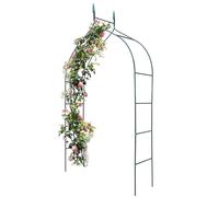 BAKAJI Arco da Giardino Supporto per Rose Piante Rampicanti in Metallo 140-170 x 38 x 240H cm Colore Verde Scuro