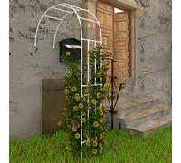 Arco for rose in metallo for giardino esterno, elegante arco da giardino a metà for piante rampicanti, supporto for alberi(White,240X240CM)