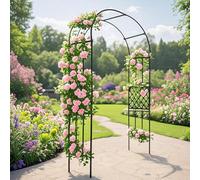 Arco Metallo Da Giardino, 120 180 200 230 240 250 300 cm L Archetto Di Matrimoni, Supporto Per Rose Per Esterni, Traliccio Pergolato Per Varie Piante Rampicanti, Decorazione Eventi(180W x 240H cm)