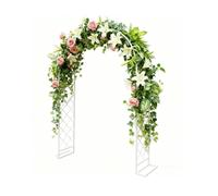 Arco Nuziale, Traliccio Giardino in Metallo, Giardino con Pergolato D'uva