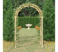 Arco per rose in legno di pino massiccio impregnato, verde, 141 x 97 x 243 cm, autoportante, come arco da giardino e traliccio per rose, clematide, edera e viti, terrazza, ingresso, aiuola