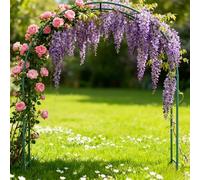 Arco Per Rose In Metallo Con Basi, Arco Per Rampicanti Larghezza Da 80cm A 350cm Traliccio Pergolato Da Giardino Per Piante Rampicanti, Supporto Sostegno Archetto(Green,Width 160xHeight 220cm)