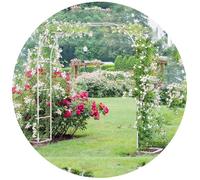 Arco Per Rose In Metallo, Supporto Per Rampicanti Griglia Per Rampicanti Arco Nuziale Resistente Alle Intemperie Autoportante Archi Da Giardino(White,3.0m*2.20m*40cm)