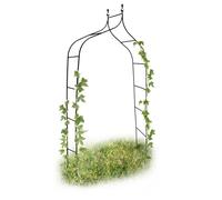Arco per rose rampicanti romantico 1,9 kg Verde scuro Pergola verde per fiori