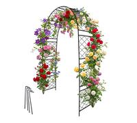 Arco per rose, traliccio, pergolato, arco ingresso, metallo nero