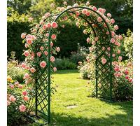 Arco Supporto per Rose Rampicanti, 220 260 300 340 180 cm Archi in Metallo Stabile con Base, Sostegno Resistente alle Intemperie per Interni ed Esterni Giardino(Green-Grid,W340xH240cm)