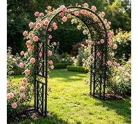 Arco Supporto per Rose Rampicanti, 220 260 300 340 180 cm Archi in Metallo Stabile con Base, Sostegno Resistente alle Intemperie per Interni ed Esterni Giardino(Black-Stripe,W220xH270cm)