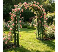 Arco Supporto per Rose Rampicanti, 220 260 300 340 180 cm Archi in Metallo Stabile con Base, Sostegno Resistente alle Intemperie per Interni ed Esterni Giardino(Green-Stripe,W140xH220cm)