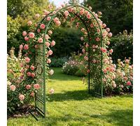 Arco Supporto per Rose Rampicanti, 220 260 300 340 180 cm Archi in Metallo Stabile con Base, Sostegno Resistente alle Intemperie per Interni ed Esterni Giardino(Green-Circle,W340xH240cm)