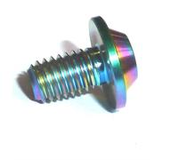 Arcobaleno M6 10-35 Aprilia Carenatura Titanio Profilo Basso T30 Torx Rondella