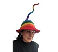 Arcobaleno Multicolore Gay Lgbtq Unicorn Festival Feltro Colorato Funky Funny