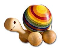 Arcobaleno tartaruga di 4 cm