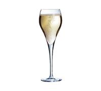 Arcoroc Brio Flûte Champagne 16cl Set 6 | Vetro, flûte per vini effervescenti, lavabile in lavastoviglie, prodotto in Francia