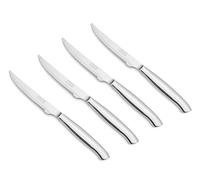 Arcos Coltelli da Carne 4 Pezzi - Set di Coltelli Tascabili con Borperla per Tagliare e Filettare Carne - Lama e Manico in Acciaio Inossidabile Monoblocco - Serie Mesa