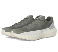 Arc'teryx Norvan LD 4 Shoe - Scarpe da corsa da montagna adattabili per lunghe distanze, Foraggio/Seta artica scura, 45 EU