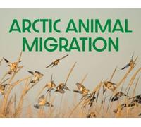 Arctic Animal Migration (Tascabile) Nunavummi Reading Series