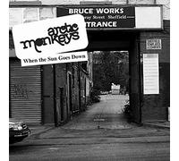Arctic Monkeys When The Sun Goes Down (Vinyl LP)
