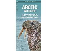 Arctic Wildlife: A Folding Pocket Guide to Familiar Animals & Plants of the Arctic & Subarctic Regions: An Introduction to Familiar Species
