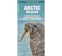 Arctic Wildlife: A Folding Pocket Guide to Familiar Animals & Plants of the Arctic & Subarctic Regions: An Introduction to Familiar Species