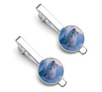 Arctic1 Fermacravatta divertente da uomo con, colore argento, ideale per affari, anniversari e matrimoni, confezione da 2 pezzi.