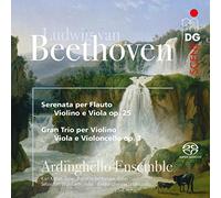 Ardinghello Ensemble - Beethoven: Serenade And String Trio