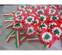 ARDITO MICHELE 10 COCCARDA Tricolore Artigianale in Tessuto 10 x 5 cm