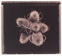 Are You Happy - Sophia