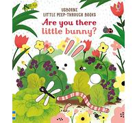 Are you there Little Bunny? (Little Peep-Through Books): 1