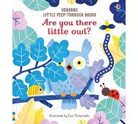 Are You There Little Owl? (Little Peep-Through Books): 1