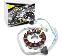 Area1 Alternatore Stator 12 poli compatibile con Booster, compatibile con Flipper, Mach G, Nitro, Evolis, Stunt, Forte, Ovetto, Nitro 50ccm (dal 2003)