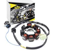 Area1 Alternatore Statore per 50cc 4 tempi Compatibile con Flex-Tech Cavallino, Cityleader, Cityliner, Dolphin, Firenze YY50QT ZN50QT, Fun, Hurrican X1 X2 JL50QT, IL Bello, Luna, Napoli, Venus II