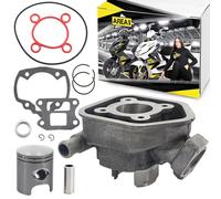 Area1 Cilindro di Ricambio 50cc 2T LC Raffreddato a Liquido per Scooter - Compatibile con Speedfight 2, Elyseo, Elystar, Vivacity, Trekker, Limbo, Buxy, Squab, TKR, Zenith, SV, Looxor, Splinter
