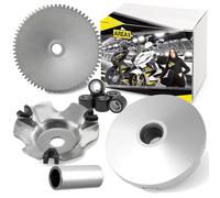 Area1 Kit Variatore di Ricambio per Scooter 50cc 2T - Compatibile con Piagg. TPH, Zip, NRG MC2/MC3, Power, Liberty, Free, Runner, ET2, LX, LXV, S, Primavera, SR 50R, Scarabeo, Sportcity, Motard, GP1