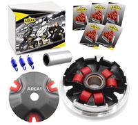Area1 Set Variatore Tuning per Scooter 50cc 2T - Com. con ATU Explorer, AGM, Nova Motors, GT Union, Longjia, Mawi, RS, Ultima Ride, Sprint, Tauris, Benero, TNG, Forstinger, Jack-Fox, JM Motor