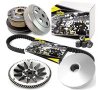 Area1 Set variomatic di ricambio + trasduttore + cinghia trapezoidale per 50cc/2T con Peugeo. Cilindro in Piedi Compatibile con Speedfight 2 + 1, Elyseo Elystar Vivacity Trekker Limbo Buxy Squab TKR