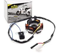 Area1 Statore/Generatore di Ricambio per Scooter 50cc - Compatibile con Speedfight 1/2, Elyseo, Elystar, Vivacity, Trekker, Gipsy, Buxy, Squab, TKR, SV, Splinter, Sachs, X8RS, SXR, SFX, Shadow, Bali