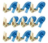 Arebos 10 x Cinghia a Cricchetto | Cinghia Fermacarico | 6 m Portata | 800 kg