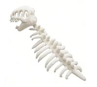 Arecobticy Il divertente cappello con cappuccio con osso di dinosauro in tessuto confortevole garantisce un divertimento prolungato durante le celebrazioni per bambini e adulti cappello di Halloween