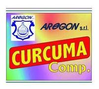 AREGON Srl CURCUMA COMPOSTO 60 CAPSULE 500 MG