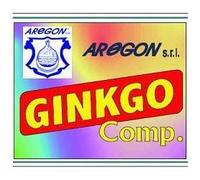 AREGON Srl GINKGO COMPOSTO 60 CAPSULE 500 MG