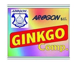 AREGON Srl GINKGO COMPOSTO 60 CAPSULE 500 MG