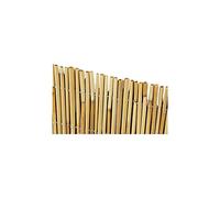 ARELLA BAMBOO cm 300 x 500