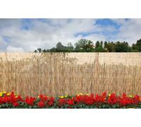 Arella in Bamboo Canniccio Arelle per Recinzione Giardino Balcone Varie Misure