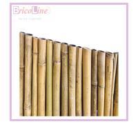 ARELLA IN CANNETTE BAMBOO RIVER Ø18-20 mm VARIE MISURE OMBRA RECINZIONI PRIVACY