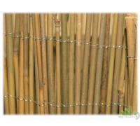 ARELLA ARELLE BAMBOO MISTER LEGATURA ACCIAIO 1,5X3 MT