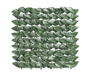 Arella sempreverde Lauro Botton mt 1.5x2 con supporto in polipropilene siepe art