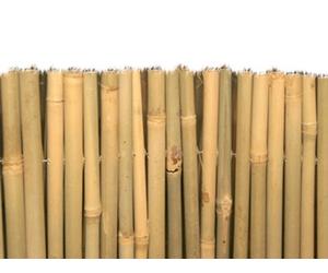 ARELLE FRANGISOLE BRIXO MASTER BAMBOO